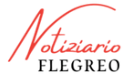 notiziarioflegreo.it